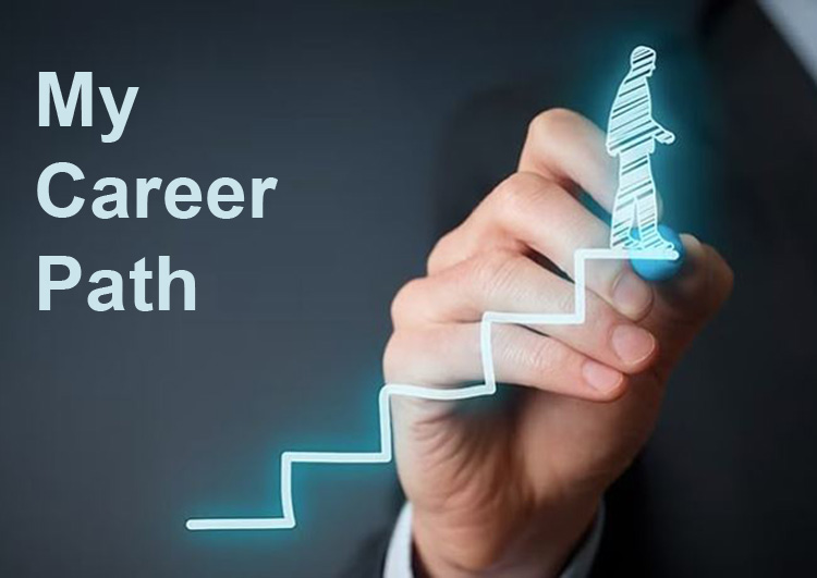 Professional Journey